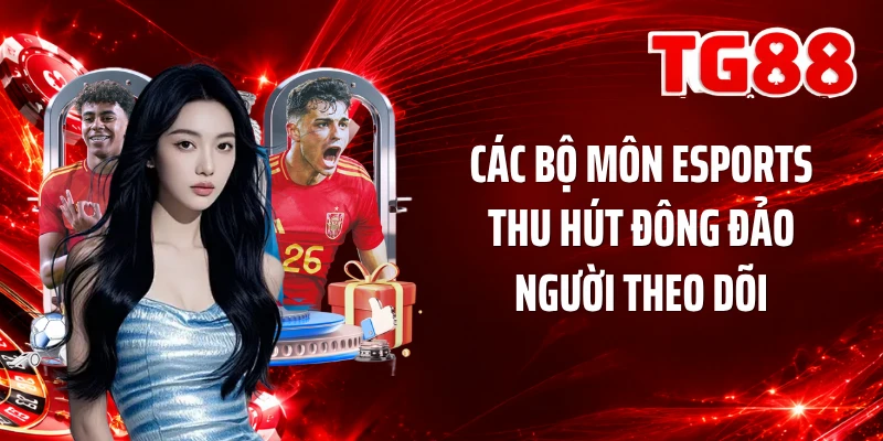 Các bộ môn Esports thu hút đông đảo người theo dõi