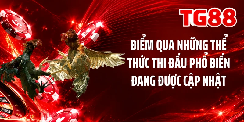 Điểm qua những thể thức thi đấu phổ biến đang được cập nhật