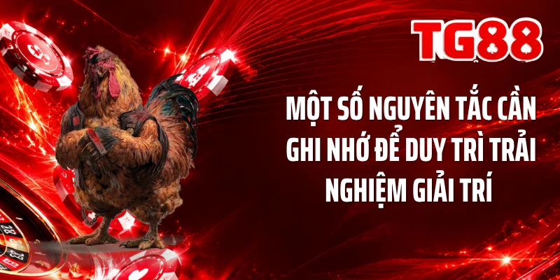 3 nguyên tắc cần ghi nhớ để duy trì trải nghiệm giải trí 