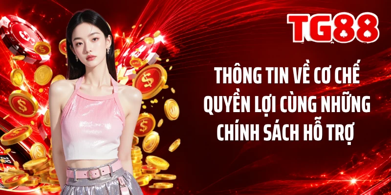 Thông tin về cơ chế quyền lợi cùng những chính sách hỗ trợ