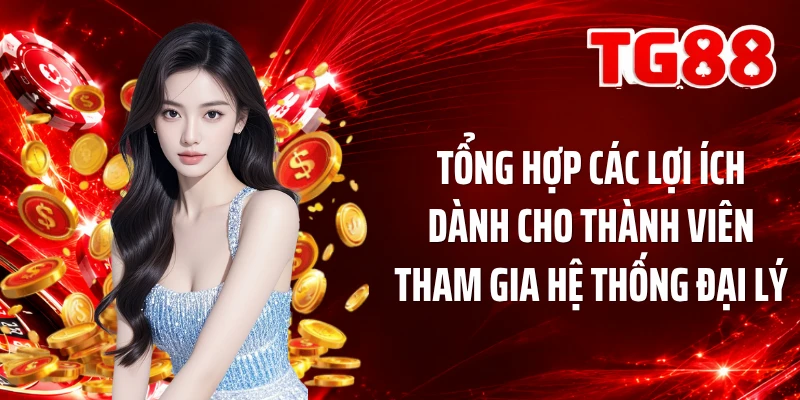 Tổng hợp các lợi ích dành cho thành viên tham gia hệ thống đại lý